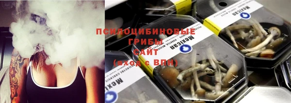 СК Козельск