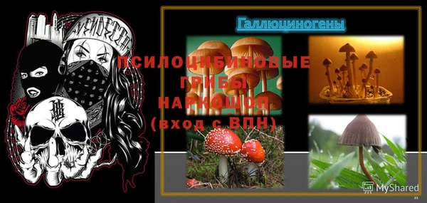 прущие грибы Киренск