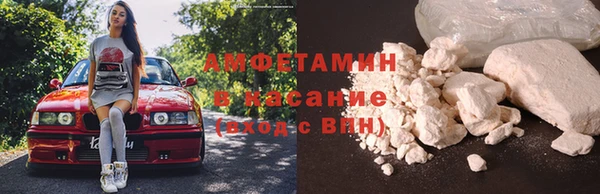 прущие грибы Киренск
